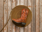 Men’s Justin Bowline 11” Western Boot