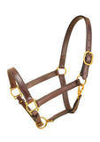 Tory Leather 1" Cob Halter With Single Crown Buckle, Snap Throat