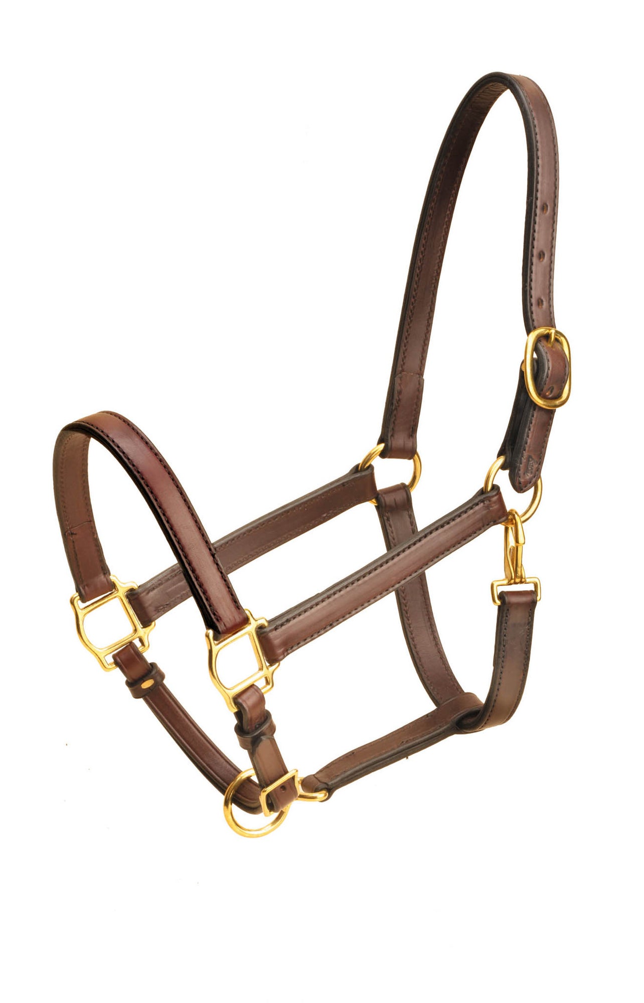 Tory Leather 1" Horse Halter Single Crown Buckle