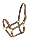 Tory Leather 1" Horse Halter  Single Crown Buckle