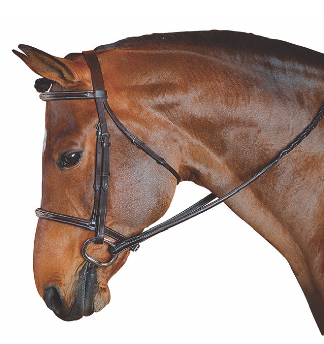 M. Toulouse Standard Hunter Bridle