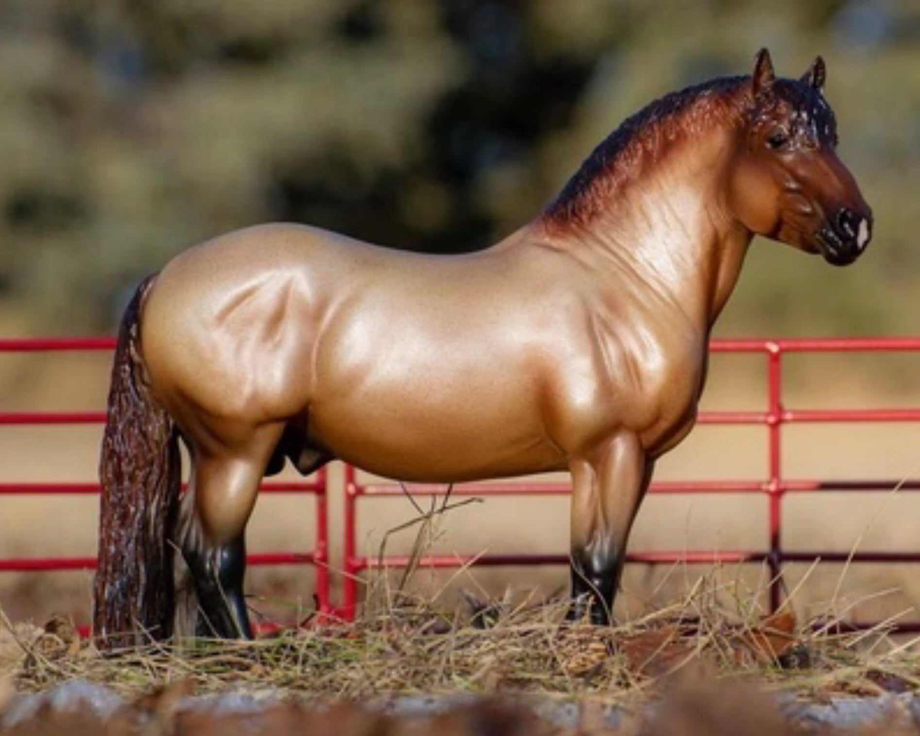 Breyer A Horse of My Own Theo