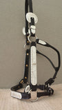 Dale Chavez Western Show Halter with 955 Silver