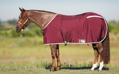 Stable Blankets &amp; Sheets
