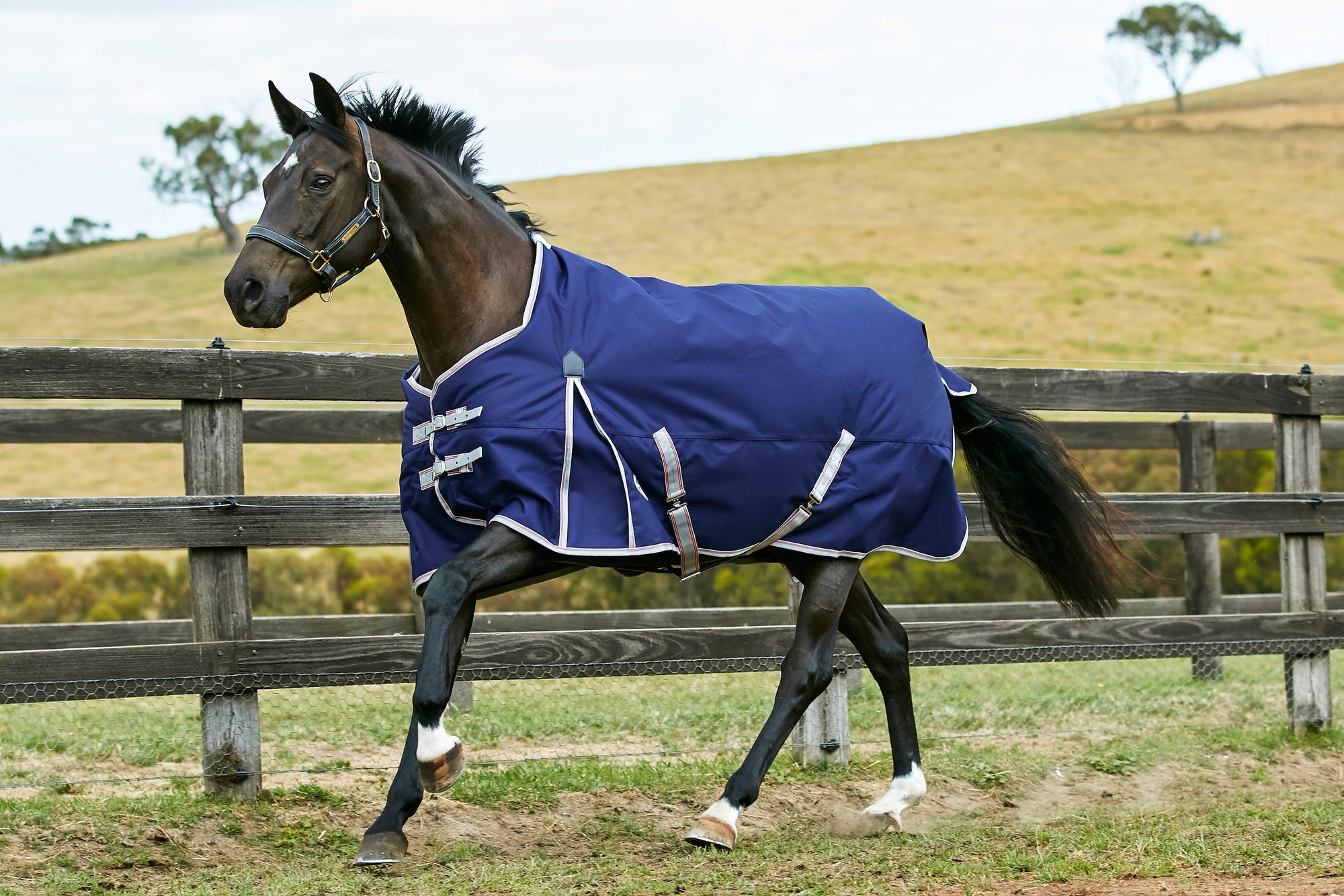 Weatherbeeta Comfitec Essential Standard Neck Medium Turnout Blanket