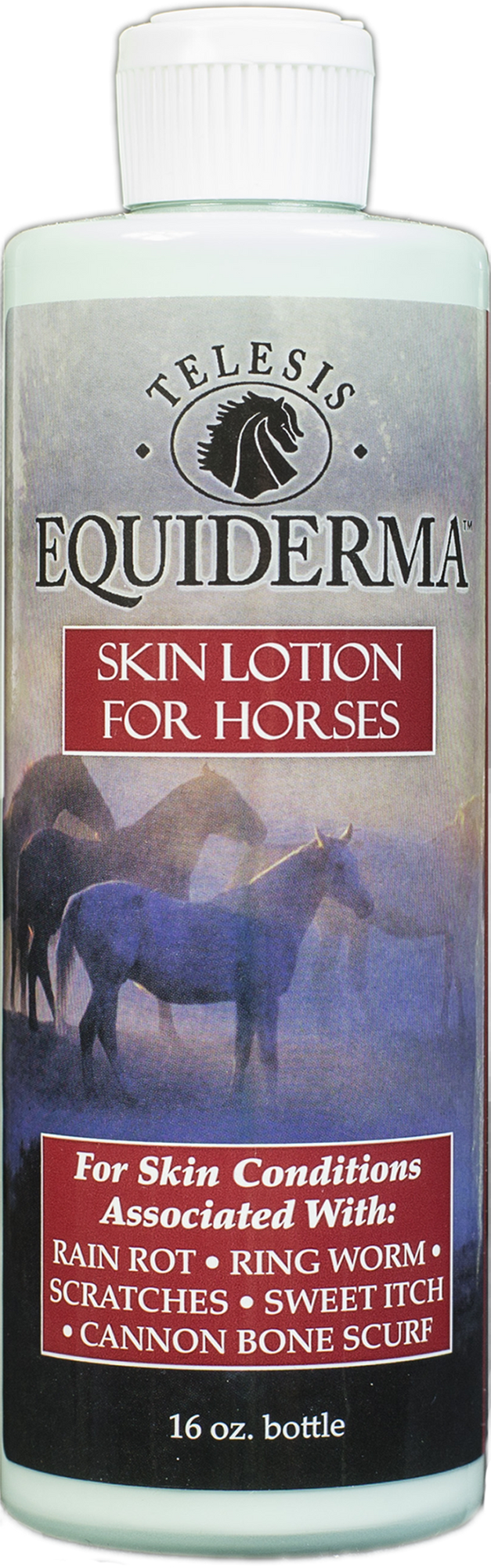 Equiderma Skin Lotion for Horses