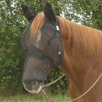 Cashel Quiet Ride Fly Mask