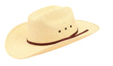 Natural Palm Cowboy Hat