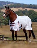 WeatherBeeta ComFiTec Essential Fly Sheet