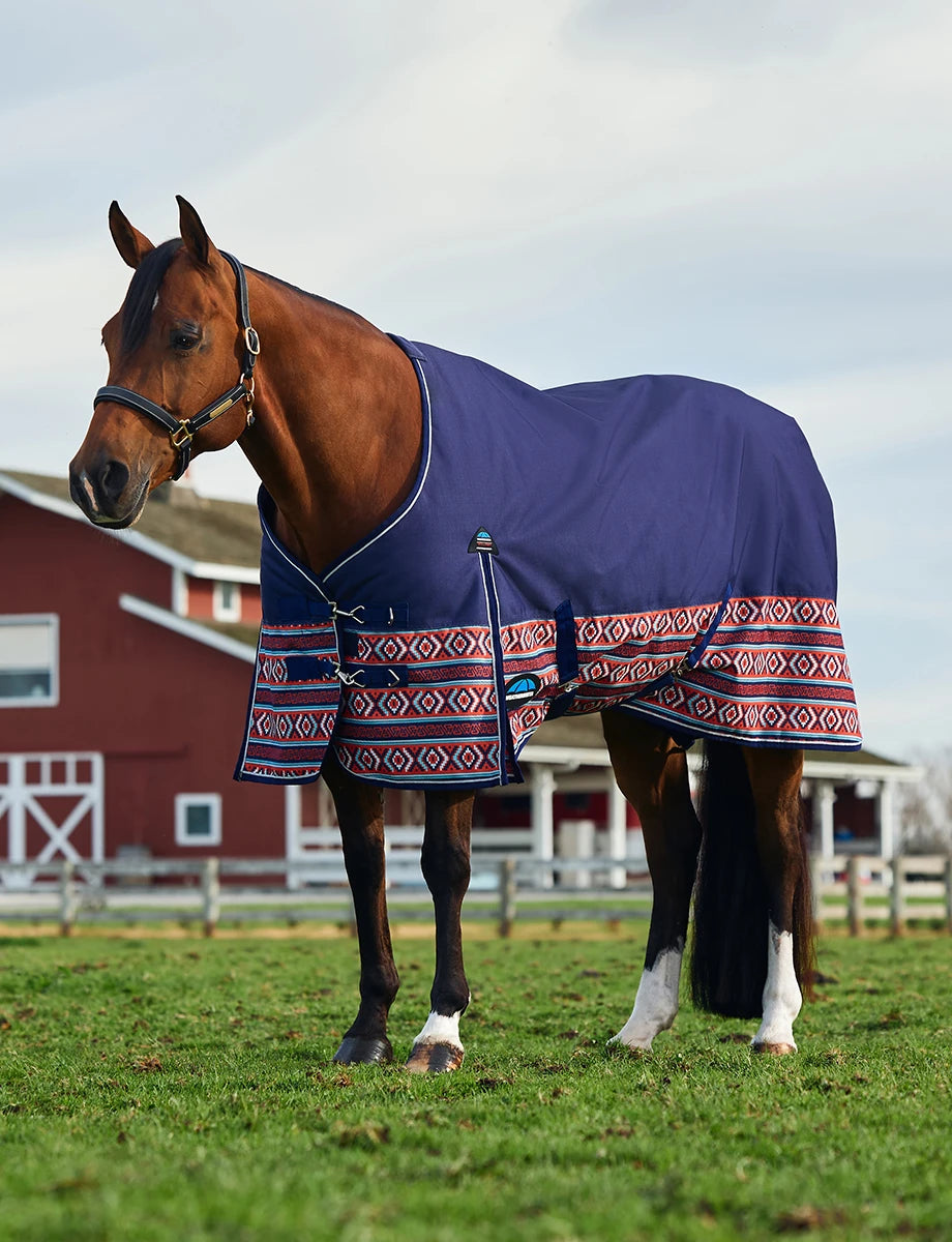 WeatherBeeta ComFiTec Legend Turnout 220G