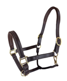 RHC Padded Leather Halter with Fancy Stitch