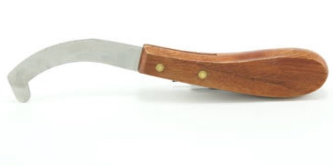 Bot Knife with Wood Handle