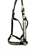 Dale Chavez Western Show Halter with #500 Silver