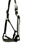 Dale Chavez Western Show Halter with #865 Silver