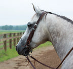 Weaver Synergy® Hand-Tooled Mayan Headstall with Designer Hardware