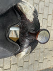 Used Circle Y 16” Western Show Saddle with Harris Silver Headstall & Saddle Bag