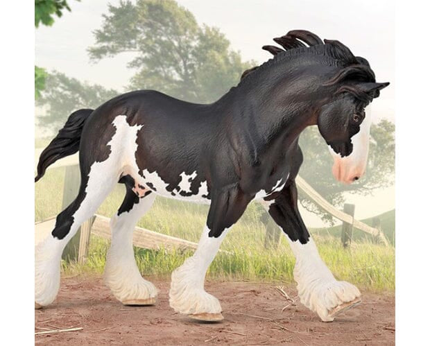 Mangalarga Marchador stallion in Brazil Stock Photo
