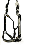 Dale Chavez Show Halter with #555 Silver