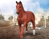 Breyer CollectA Phar Lap- Thoroughbred Racehorse- Chestnut