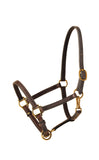 Tory Leather 3/4" Yearling Halter Single Crown Buckle, Snap Throat