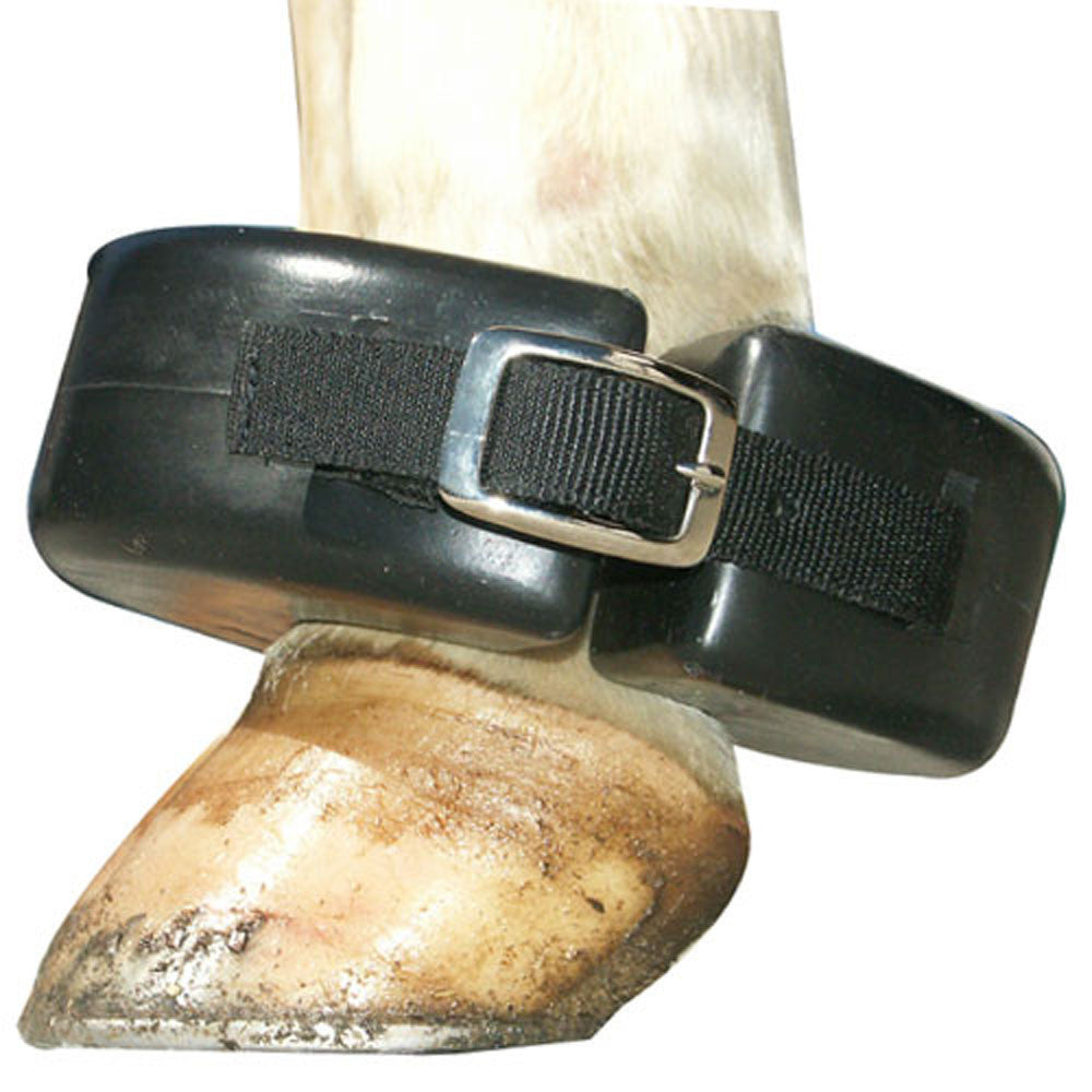 Intrepid International Comfort Plus Western Bareback Pad | Meses sin interés Intrepid International Comfort Plus Western Bareback Pad | Meses sin interés
