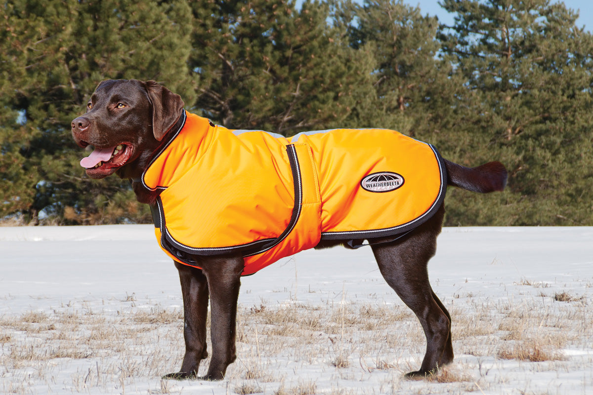 Weatherbeeta Reflective Parka 300d Deluxe Dog Coat