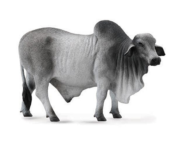 Breyer CollectA Brahman Bull