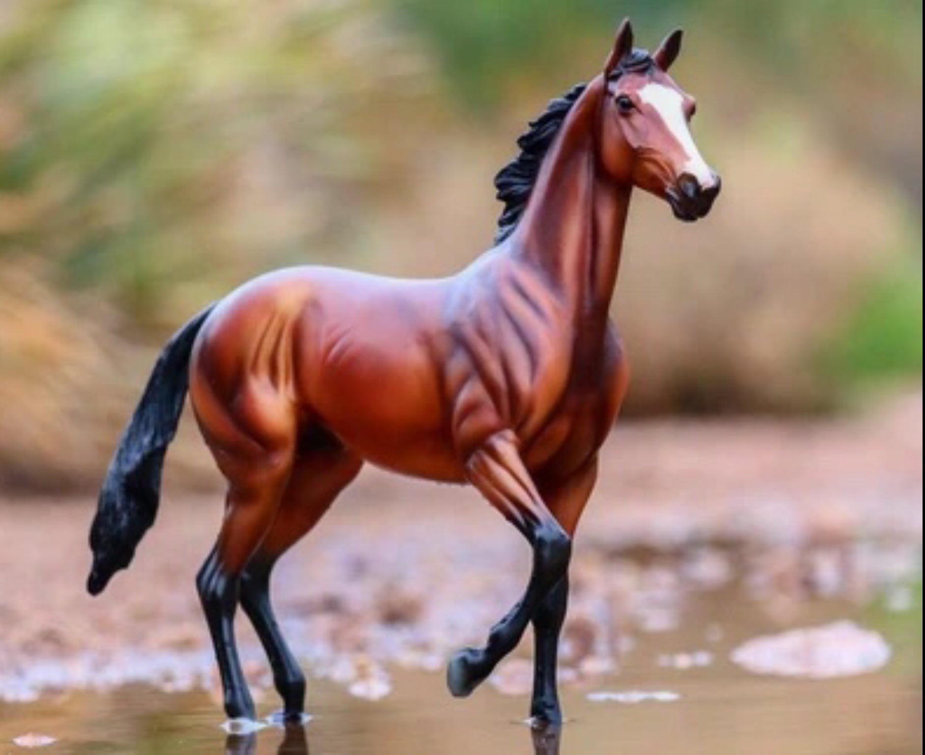 Breyer A Horse of My Own TIZ THE LAW