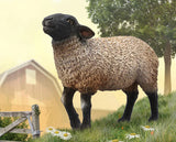 Breyer CollectA Suffolk Sheep